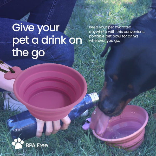 Collapsible Travel Bowl