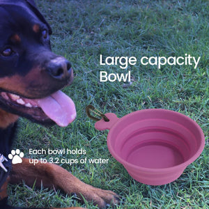 Collapsible Travel Bowl