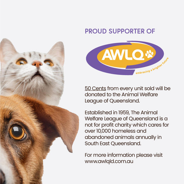 Collapsible Travel Bowl