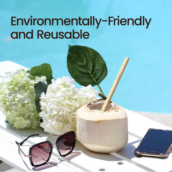 Reusable Bamboo Straw - single