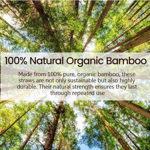 Reusable Bamboo Straw - single