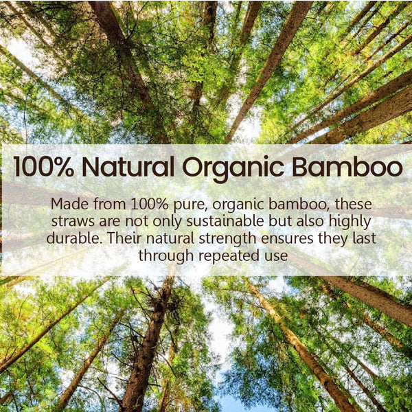Reusable Bamboo Straw - single