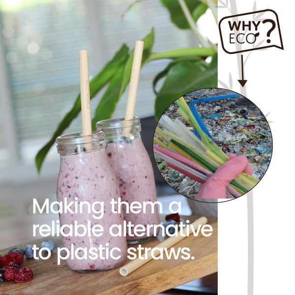 Reusable Bamboo Straw - single