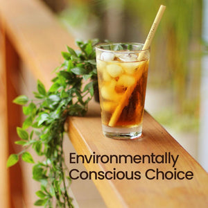Reusable Bamboo Straw - single