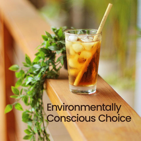 Reusable Bamboo Straw - single