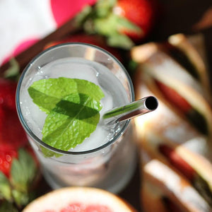 Eco Basics Stainless Steel Straw & Cleaner - 8mm