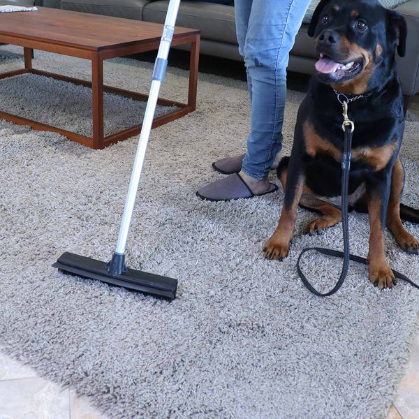 White Magic Pet Hair Broom