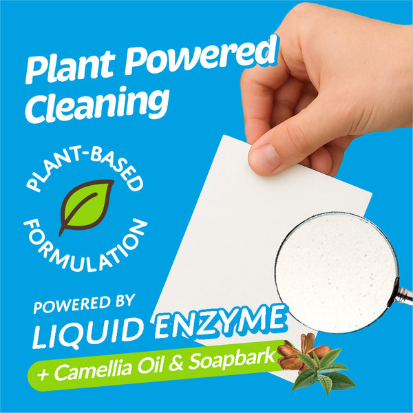 Eco Basics Laundry Sheet 60 pack - Ocean Breeze