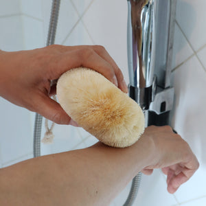 Eco Basics Natural Plus Body Brush