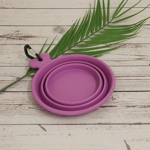 Collapsible Travel Bowl