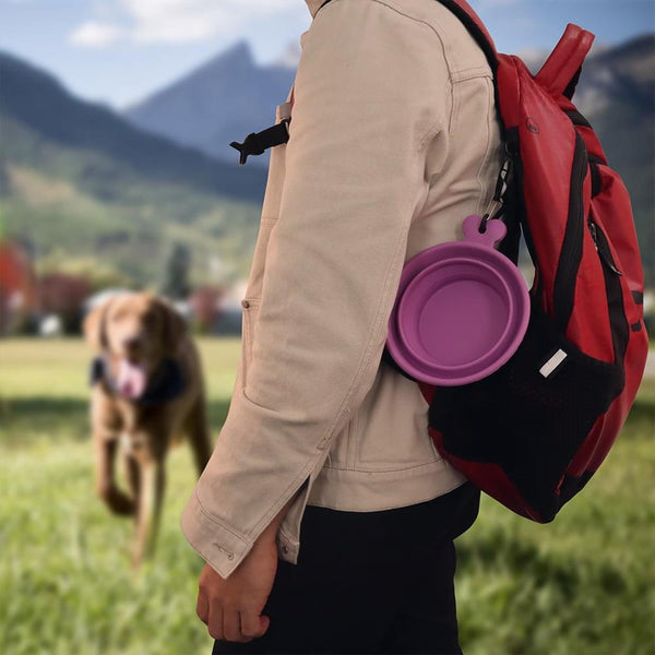 Collapsible Travel Bowl