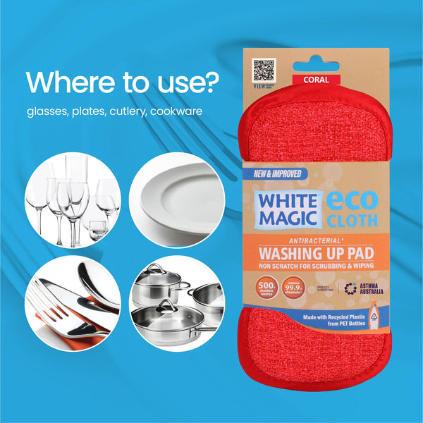 Washing Up Pad