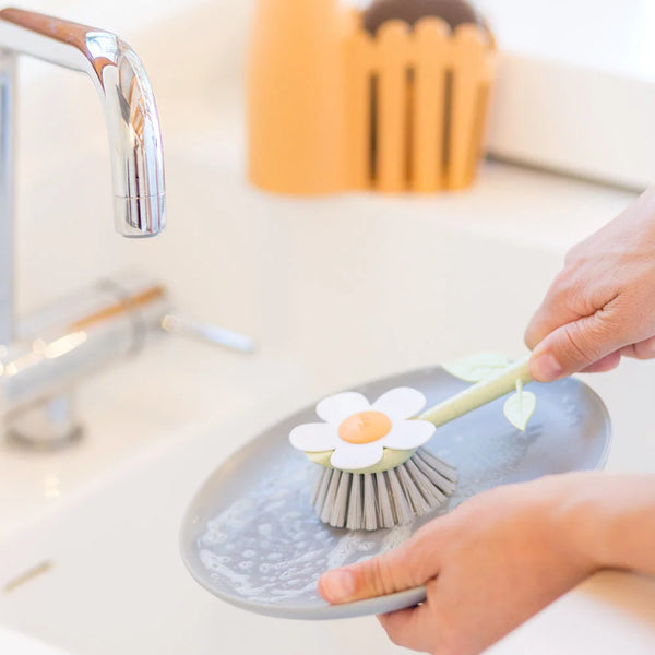 Florganic Sink Caddy Set + Dispenser