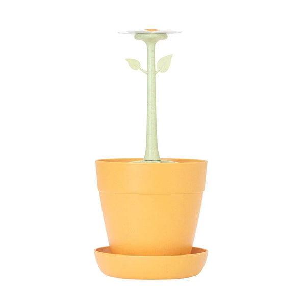 Florganic Cutlery Drainer