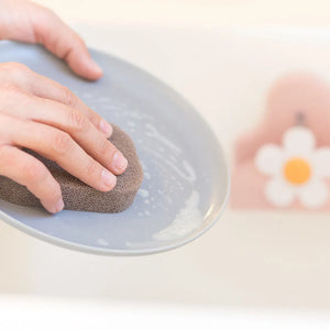 Florganic Suction Holder + Sponge