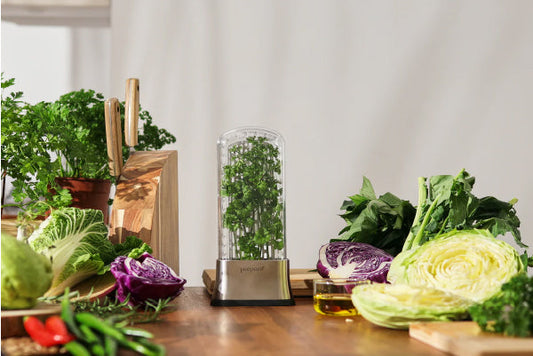 Herb Savor