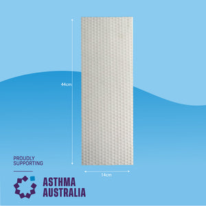 Floor Eraser Sponge 2 Pack